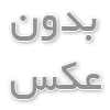 غدای رژیمی طوطی